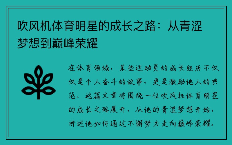 吹风机体育明星的成长之路：从青涩梦想到巅峰荣耀